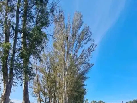 Terreno en Venta de 520,0 m2