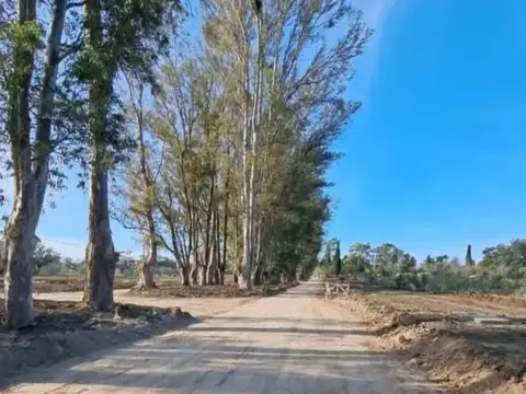 Terreno en Venta de 520,0 m2