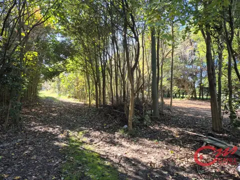 Terreno en Venta 22  mts Frente