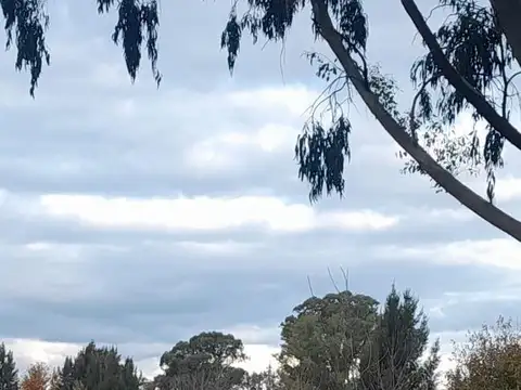 Terreno / fraccion - Venta - Ignacio Correa