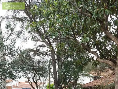 Galpon en Alquiler 50  mts Fondo