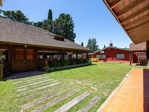 Colón al 300