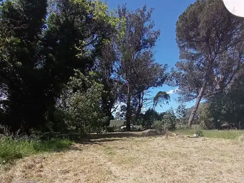 Terreno en Venta 12  mts Frente