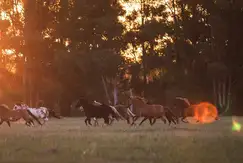 Áreas comunes sum, piscina, club-house, juegos en Quebradas en Ruta 9 Km 127  en Baradero, Buenos Aires