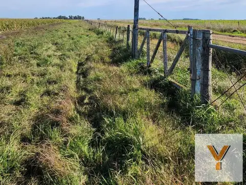 Campo en venta - 3000000mts2 - Laprida