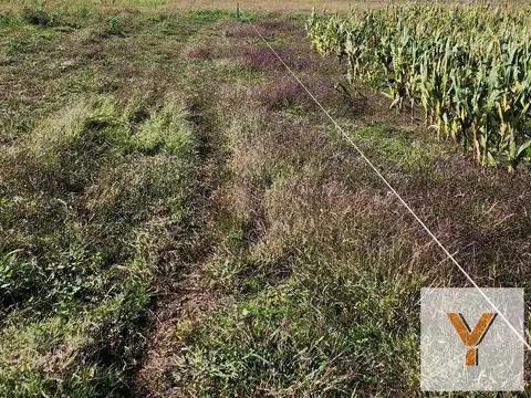 Campo en venta - 3000000mts2 - Laprida