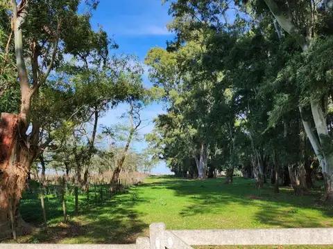 Ruta 51 - KM 57