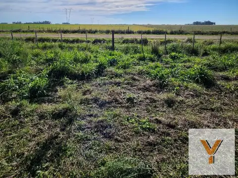Campo en venta - 3000000mts2 - Laprida