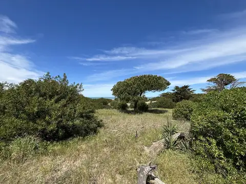 Lote en Venta en Colonia Marina