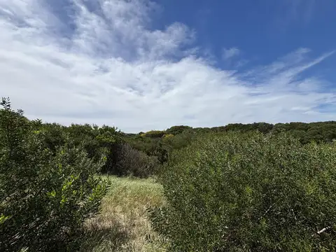 Lote en Venta en Colonia Marina
