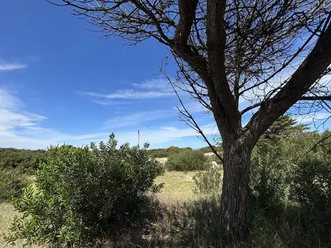 Terreno en Venta de 2000,0 m2