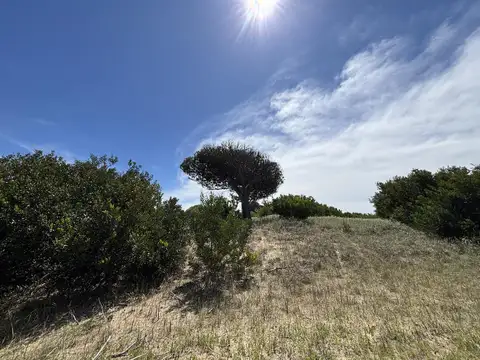 Terreno en Venta 50  mts Fondo