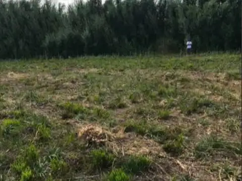 Terreno en Venta 66  mts Fondo