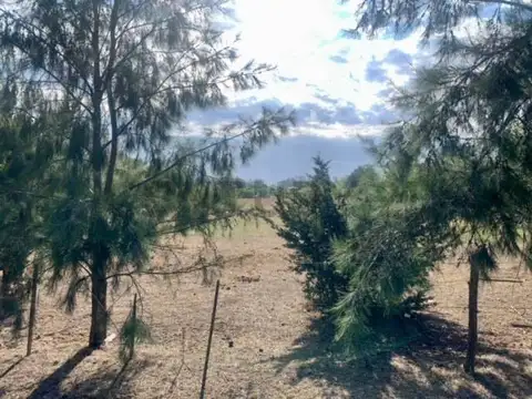Campo en Venta de 3,20  ha