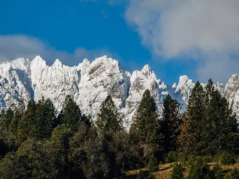 Excepcional campo en el faldeo del Piltriquitrón