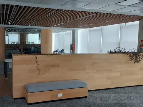 ECHEVERRIA ESTEBAN  N°250 -Piso  10 y 11