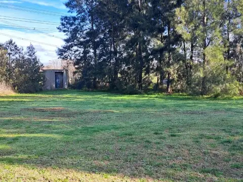 Jacarandá Mza 58 Lote 9 5442