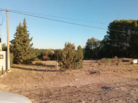 Terreno en Venta 98  mts Fondo