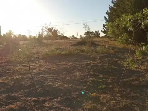 Terreno en venta - 3.950Mts2 - Bahía Blanca