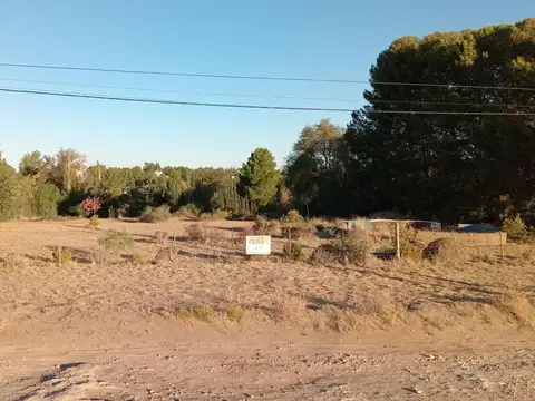 Terreno en Venta 40  mts Frente