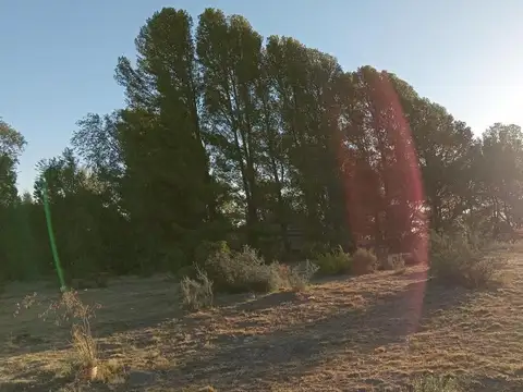 Terreno en Venta de 3950,0 m2