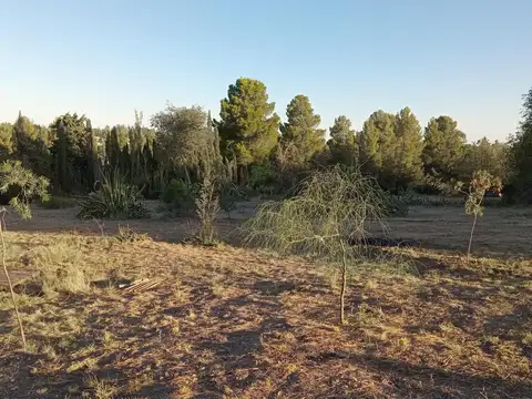 Domingo Pronsato e/ Antonio Crespi Valls y Las Toscas