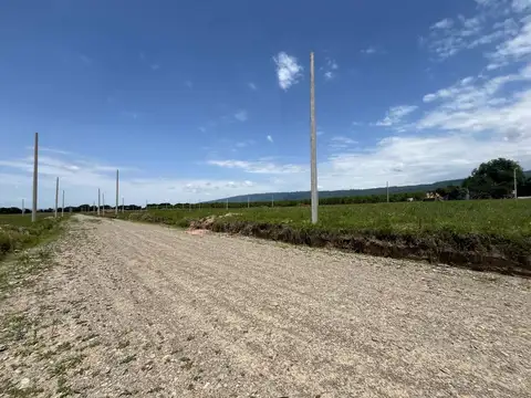 Terreno en Venta en Villa Carmela, USD 9.800