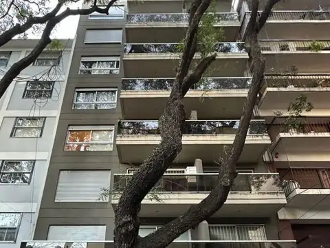 Departamento - Alquiler - Argentina, Capital Federal - AMBROSETTI, JUAN B. 246