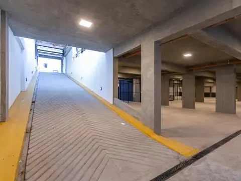 Portela 100