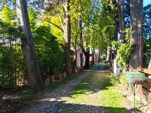 General Martín de Gainza 800