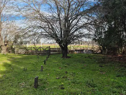 CAMPO EN VENTA LA  PLATA