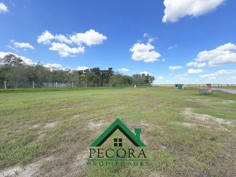 Nativas - Lote 183 - Puertos del lago