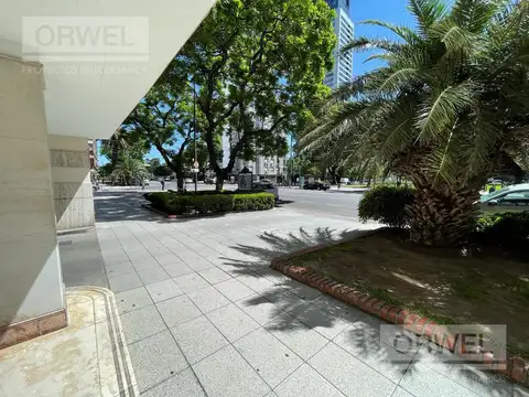 Departamento en Alquiler de 3 ambientes