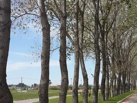 Lote Terreno venta Barrio La Alameda