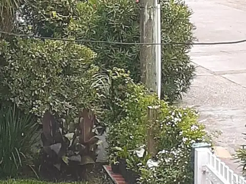 Casa - ALQUILER_TEMPORAL - Uruguay, PUNTA DEL ESTE - CALLE 9 (La Salina) 590