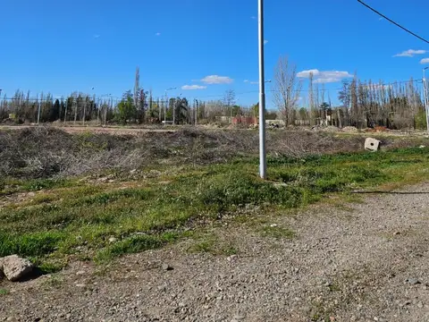 Sgto Manuel Bejarano 1700