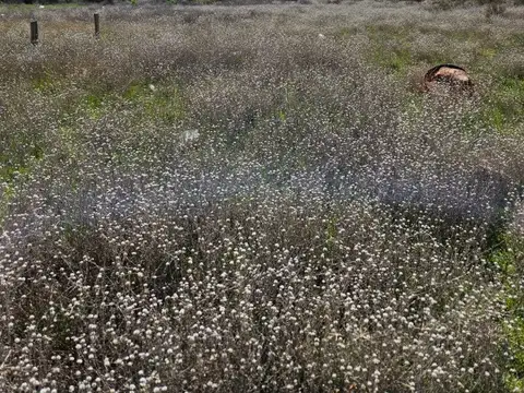 Terreno en Venta de 600,0 m2