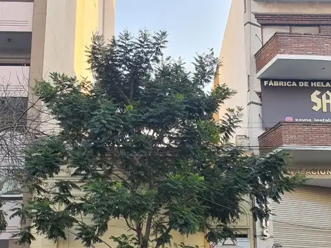 Terreno en Venta 17,42  mts Frente