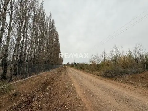 Venta Chacra 10 hectáreas -  China muerta