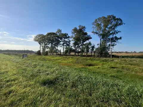 Campo KM 136 de la Ruta 5, Suipacha