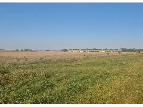Campo KM 136 de la Ruta 5, Suipacha