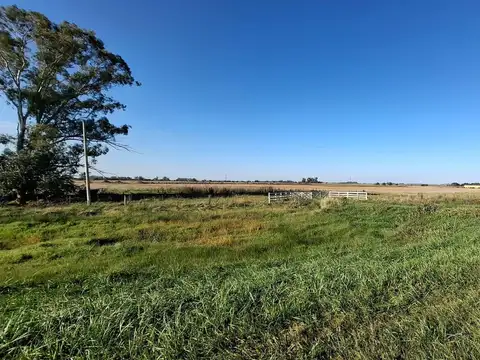 Ruta 5 al 100