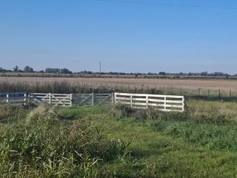 Campo KM 136 de la Ruta 5, Suipacha