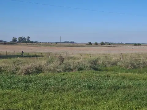 Campo en  suipacha