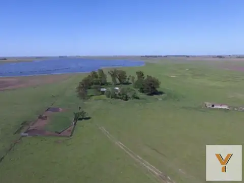 Campo en venta - 4.670.000Mts2 - Carlos Tejedor