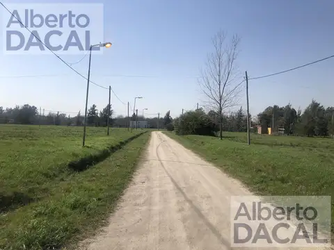 409/ 139 Y 141 BUONA TERRA