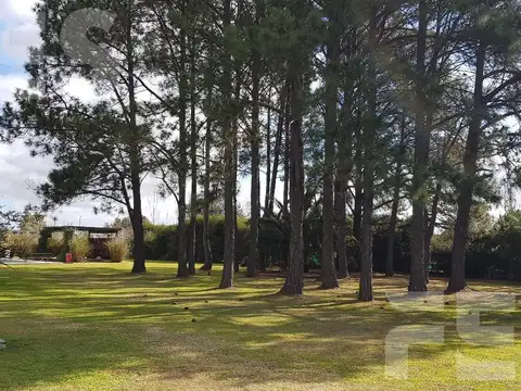 ALQUILER ANUAL CASA CON PARQUE Y BOSQUE PROPIO EN FINCAS DE SAN VICENTE