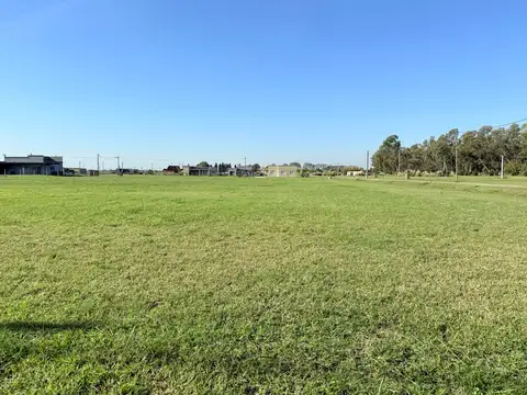 Sierra grande 100