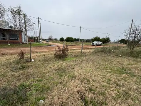 Gorocica