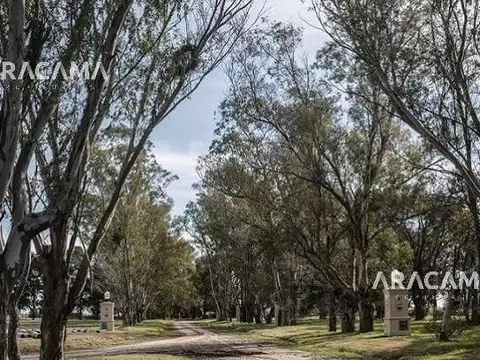 Terreno en Venta de 806,0 m2